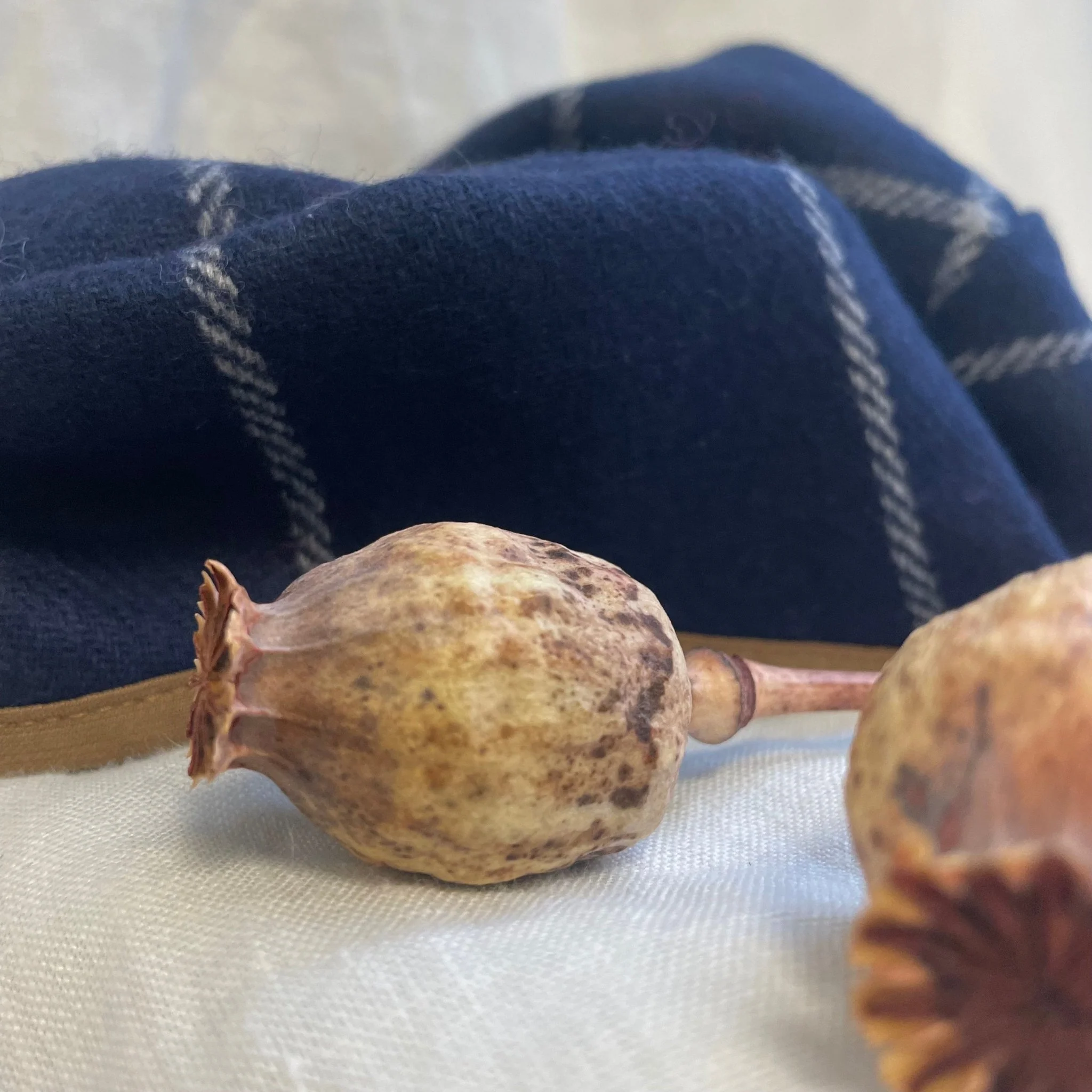 Beret Côme - lainage quadrillé marine - Image 2